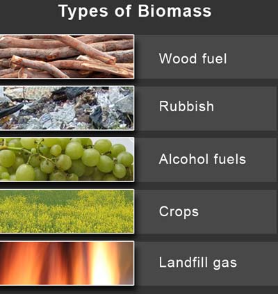 http://torrance4biomass.files.wordpress.com/2008/04/types-of-biomass.jpg